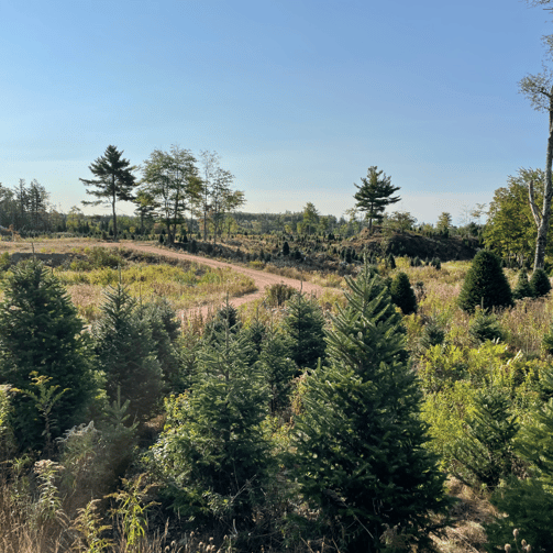 G&C Hughes Entrerprises-4